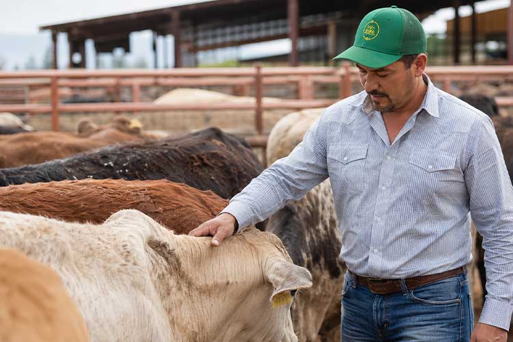 agrodesarrollo 01